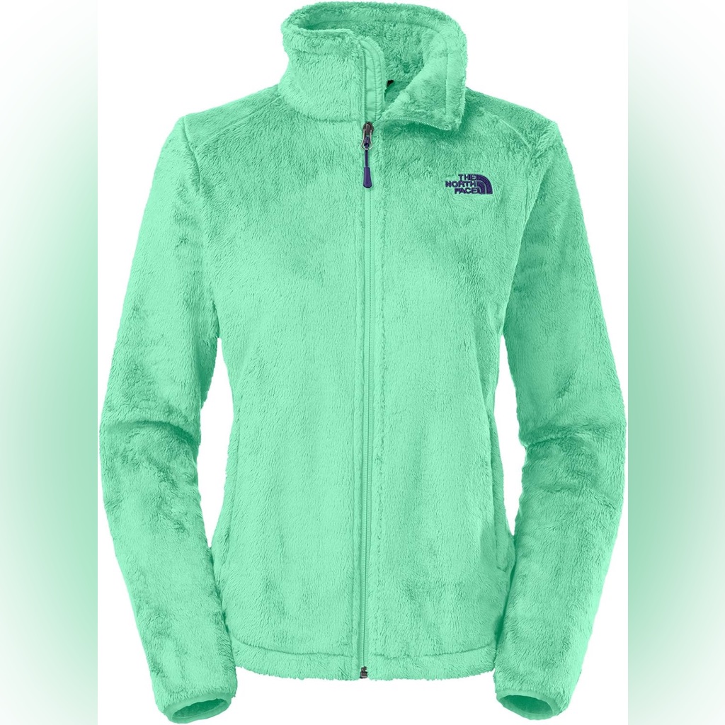 The North Face Osito 2 Fleece Jacket Mint